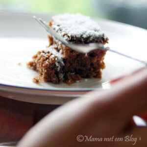 recept Finse Plaatkoek mamameteenblog.nl