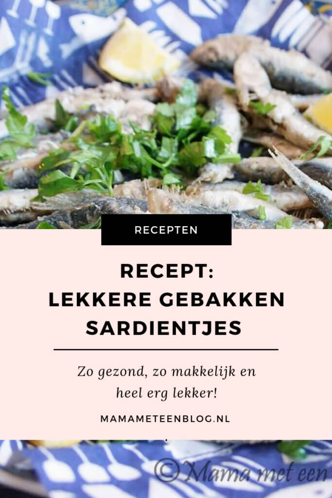 recept lekkere gebakken sardientjesmamameteenblog.nl