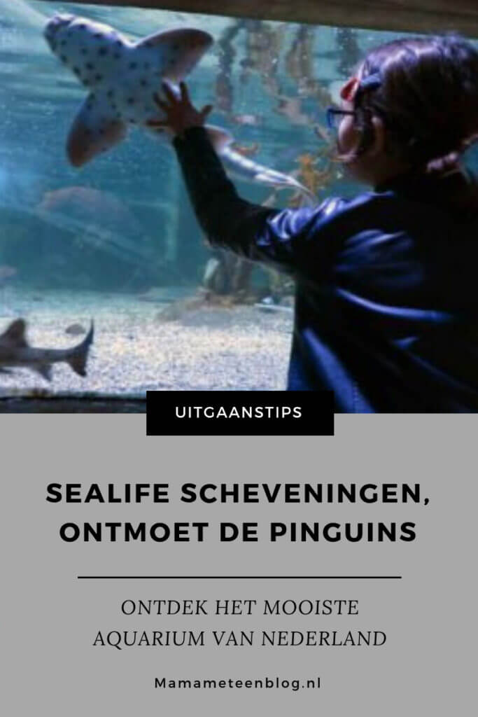 Sealife Scheveningen mamameteenblog.nl