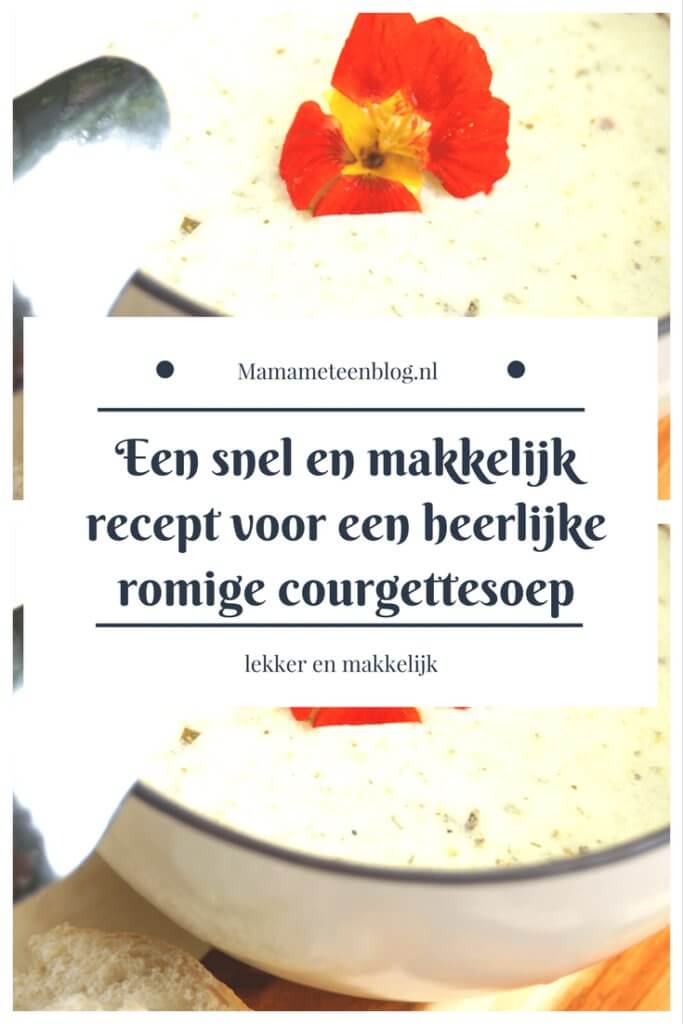 recept romige courgettesoep mamameteenblog.nl