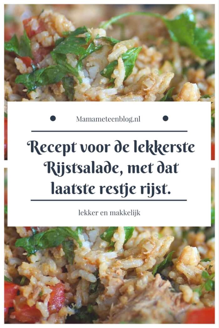 recept rijstsalade mamameteenblog.nl