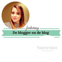 De blogger en de blog paperbreaks mamameteenblog