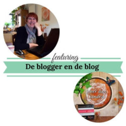 De blogger en de blog meerdansandra.nl mamameteenblog.nl