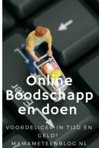 online boodschappen doen mamameteenblog