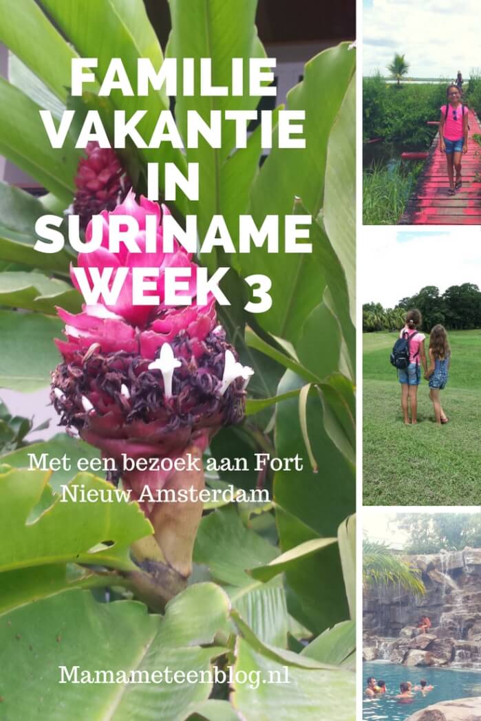 familievakantie suriname week 3 mamameteenblog.nl