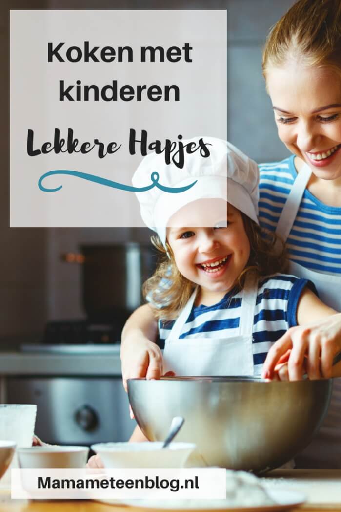 Het feest kan beginnen 40 makkelijke koude hapjes