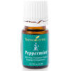 pepermuntolie young living oils mamameteenblog.nl