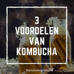 3 voordelen van Kombucha mamameteenblog.nl