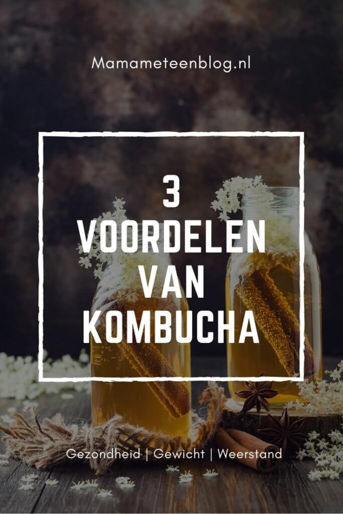 voordelen Kombucha Mamameteenblog.nl