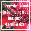 Suriname familiereis maand mamameteenblog.nl