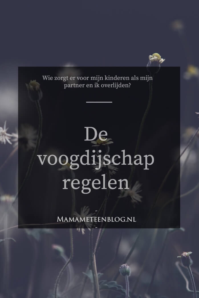 De voogdijschap regelen bij overlijden mamameteenblog.nl