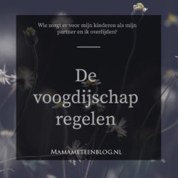 Voogdijschap regelen bij overlijden mamameteenblog.nl