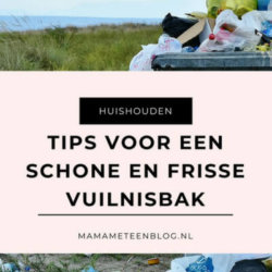 schone vuilnisbak tips mamameteenblog.nl