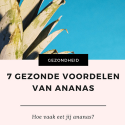 7 voordelen ananas mamameteenblog.nl