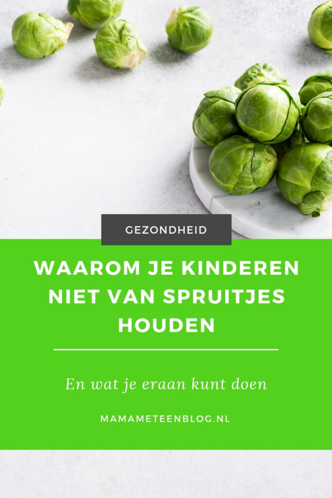 spruitjes mamameteenblog.nl