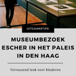 ESCHER IN HET PALEIS MUSEUM MAMAMETEENBLOG.NL