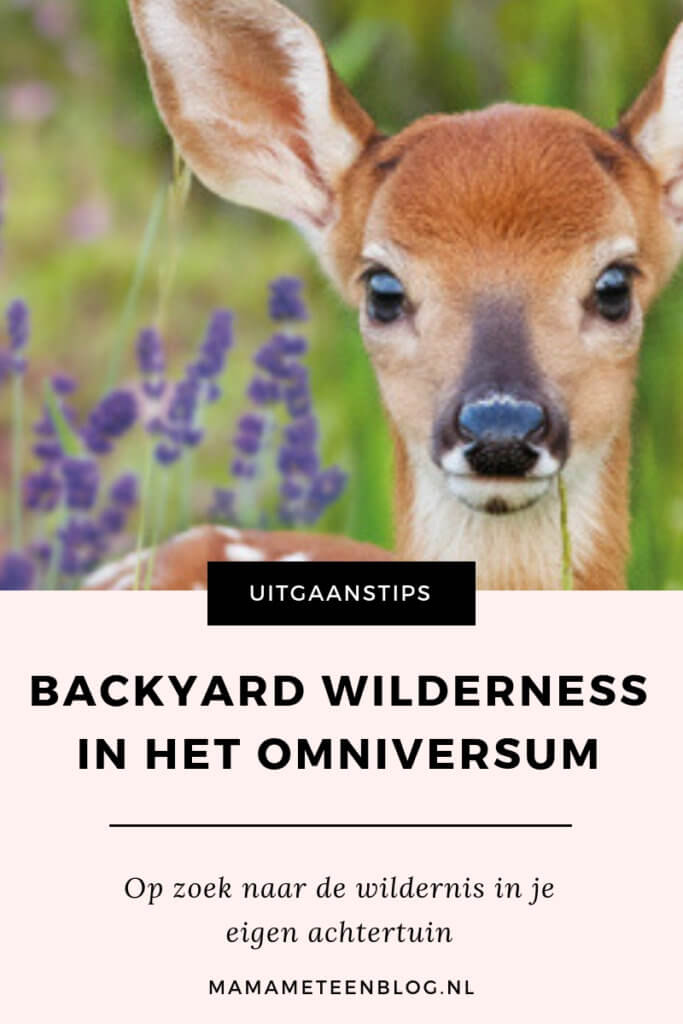 BACKYARD WILDERNESS OMNIVERSUM MAMAMETEENBLOG.NL