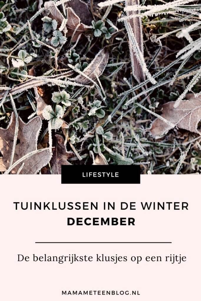 Tuinklussen-in-de-winter-mamameteenblog.nl_