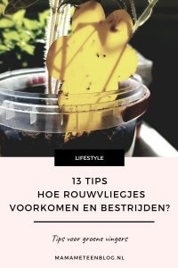 Rouwvliegjes _ 13 tips hoe rouwvliegjes voorkomen en bestrijden_ mamameteenblog.nl