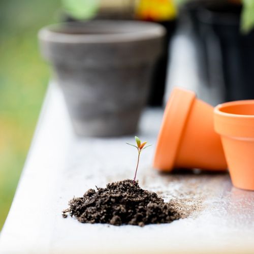 Tips En Inspiratie Voor Een Duurzame Tuin Met Een Wensenlijstje