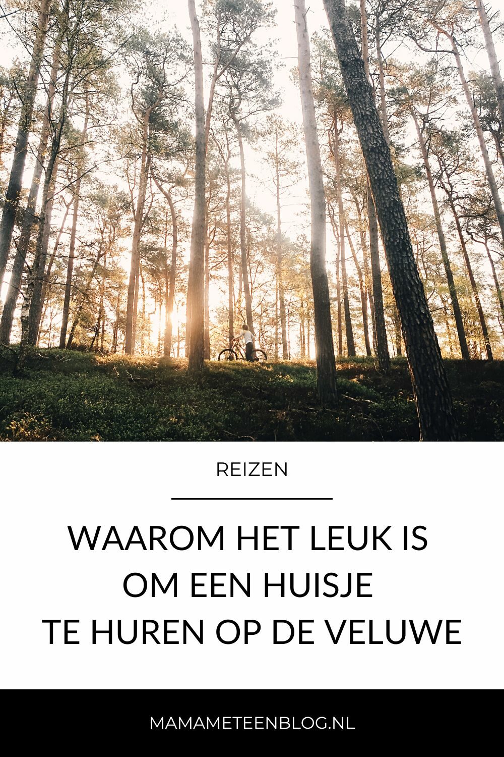 Waarom het leuk is om een huisje te huren op de Veluwe mamameteenblog.nl