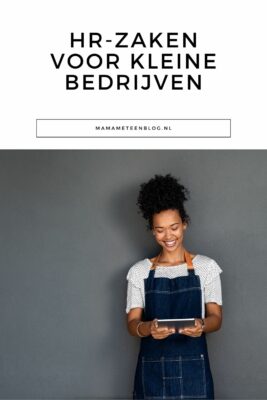 HR-zaken voor kleine bedrijven mamameteenblog.nl (1)