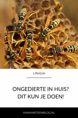 Verschillende soorten ongedierte in huis mamameteenblog.nl